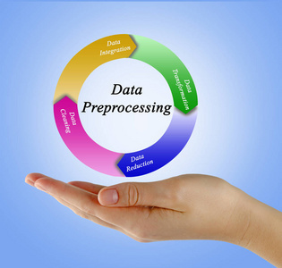 信息管理与处理 现代企业的核心能力